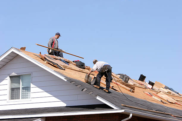 Best Metal Roofing Installation  in Lorenzo, TX